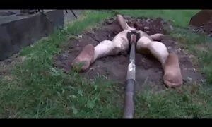 Дівчина, яка ув'язнена шерифа, секс з зрілими жінками