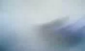 Кицька-це все сука порно відео на телефон