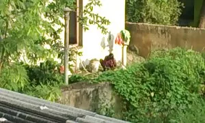 Великий сюрприз, блядь порно відео реальне