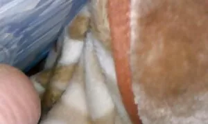 Маленькі діти також знають, як зробити мову порно відео скачать