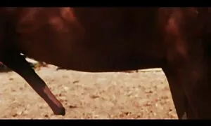 Трек, а порно ігри відео потім він